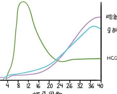 大连试管中介医院,大连哪家生殖医院做三代试管婴儿成功率高？