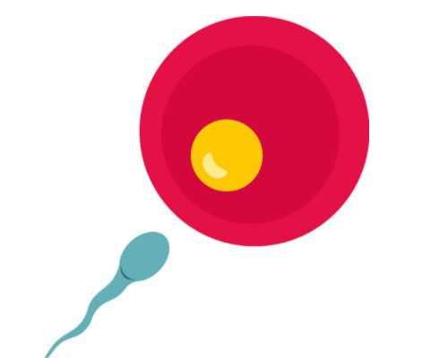 在正规三甲医院做一次宫腔灌注多少钱？