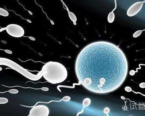 有成都助孕妈妈臀该怎么减肥