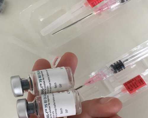 开始备孕吃什么好