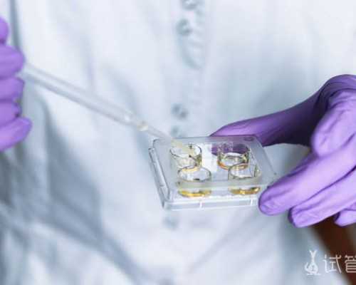 在广医三院做三代试管移植时可以选择生双胞胎吗？