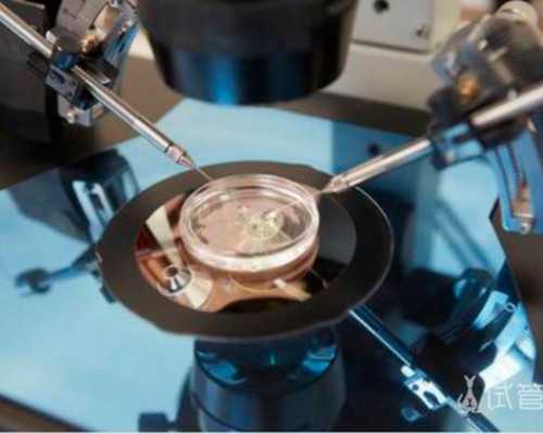 大连试管机构电话,大连哪家生殖医院做三代试管婴儿成功率高？