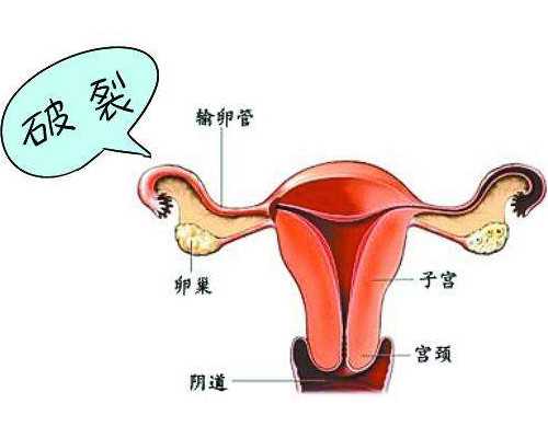 成都供卵靠不靠谱,成都供卵机构，高龄来成都供卵试管能生孩子吗？