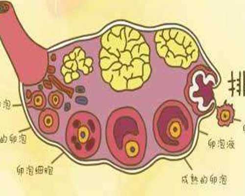 染色体倒位是什么意思