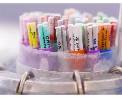 35岁以上成都助孕妈妈备孕二胎晚吗？应该如何备孕？