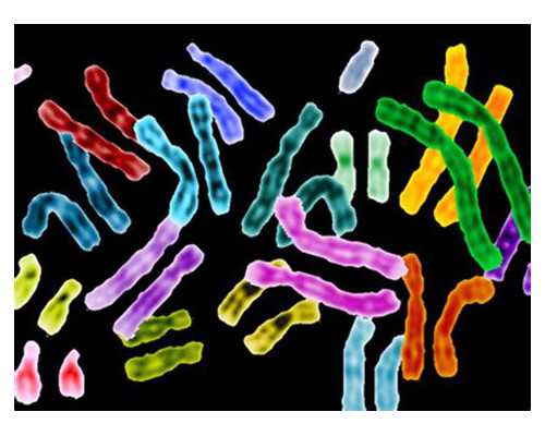 爱心成都助孕妈妈晚餐时间到~