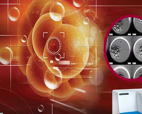 沈阳试管婴儿哪家好