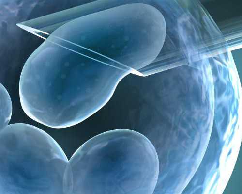 卵子检查多少钱？卵子检查怎么做？