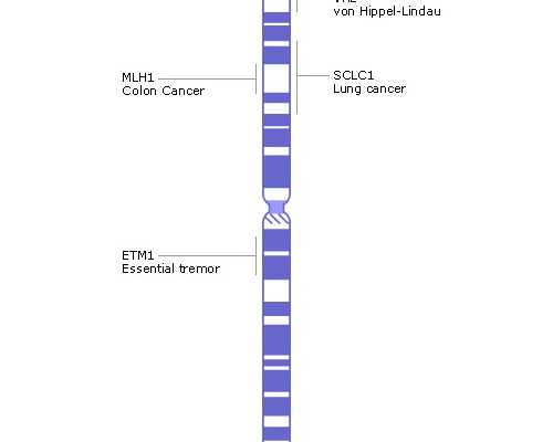 柬埔寨孕妇成都助孕妈妈：柬埔寨成都助孕妈妈怎么说