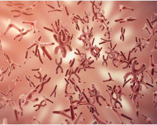 三代试管染色体筛查结果