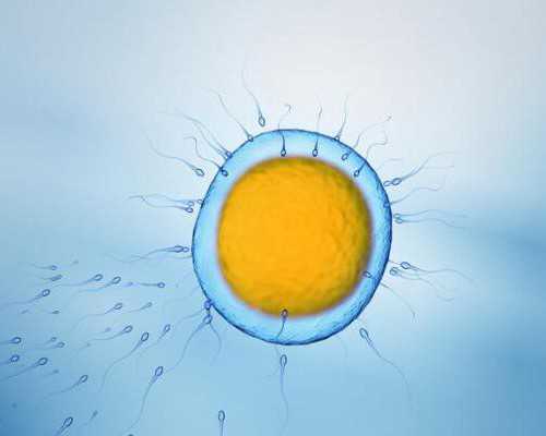 46岁高龄做试管婴儿的成功几率有多大？听听大家怎么说