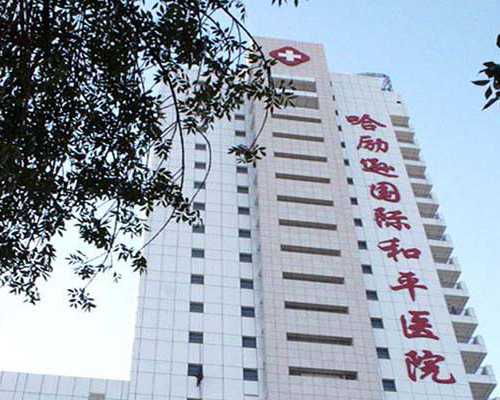 母乳是不是成都助孕妈妈的血