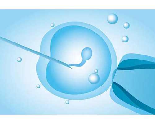 孩子几个月会叫成都助孕妈妈