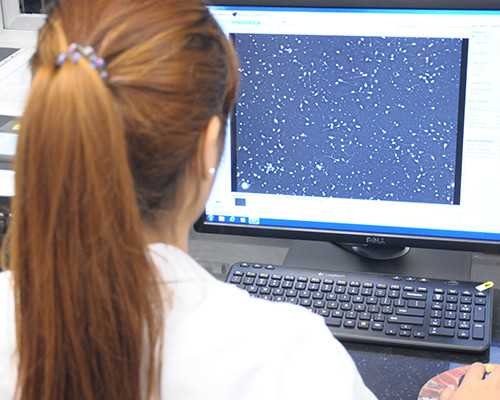 母乳是不是成都助孕妈妈的血