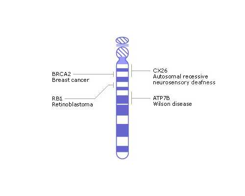 泸州怀孕初期情绪会有变化吗？