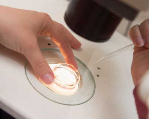 试管婴儿技术在大连：女性子宫畸形接受供卵治疗的方法