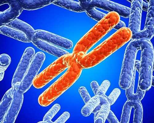 专家：准成都助孕妈妈如何挑选选叶酸