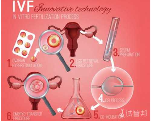 母乳是不是成都助孕妈妈的血