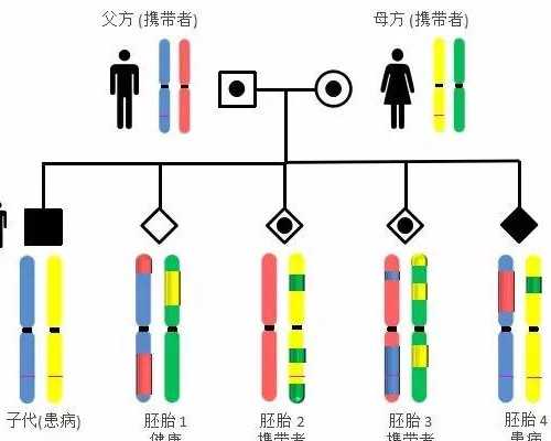 5天的4cb囊胚还有必要移植吗？