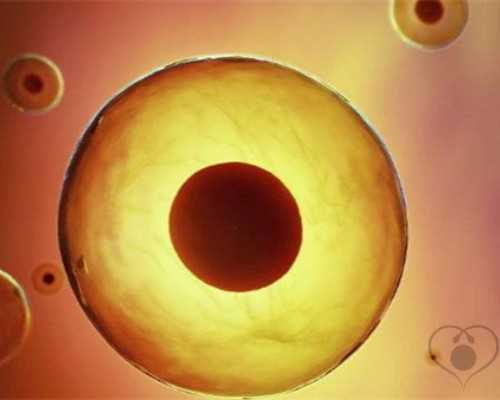 金斯利安多维片的作用功效有哪些