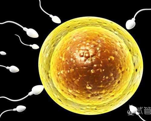 准成都助孕妈妈咳嗽最好先用食疗法