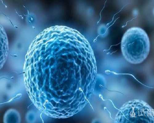 长春生育险进度查询方式来了,宽城区电话+网络都可