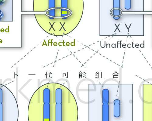 试管婴儿前需要什么证件