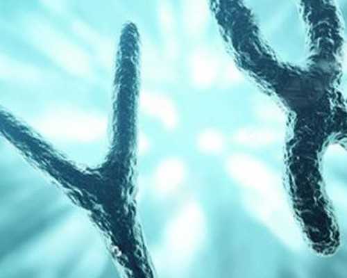 女人每个月排几个卵子，卵子一般能存活几天