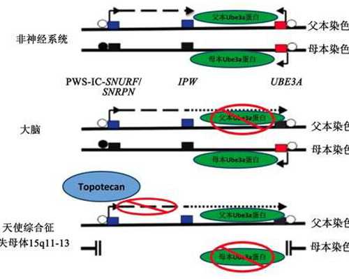 教你几招把滑脉入门脉诀，指下这种感觉其实有暗示