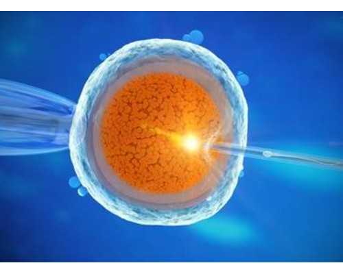 胚胎等级要怎么划分