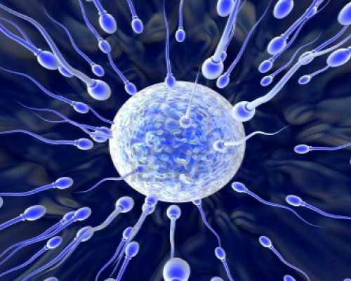 大连供卵试管婴儿代生,大连有做三代试管包生男孩的医院吗？可靠吗？