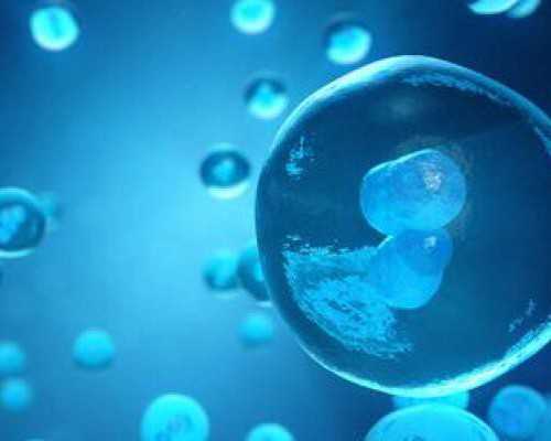 成都专业试管代怀孕,成都供卵试管婴儿医院（成都供卵代怀）