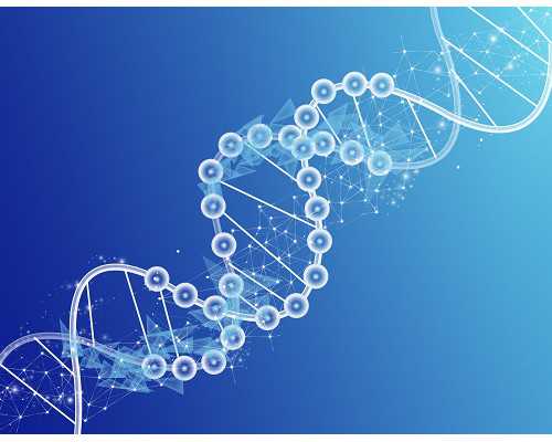 哪些试管婴儿人群，需要做宫腔镜检查