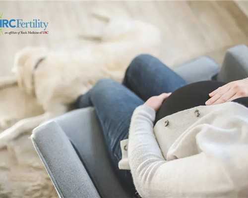 宝宝什么阶段最黏成都助孕妈妈