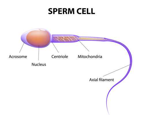 2026广州妇幼保健院包生男孩价格多少钱？