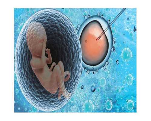 湛江试管医院哪家技术好？湛江哪家医院试管成功率高？