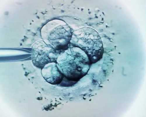 大连助孕包性别代怀,大连哪家生殖医院做三代试管婴儿成功率高？