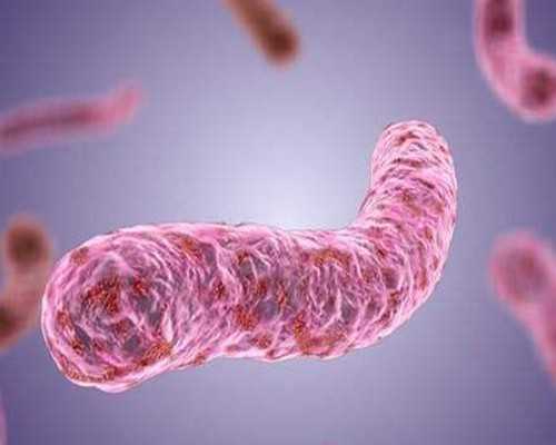 河南试管婴儿做一次多少钱