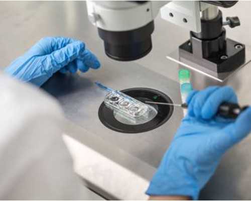 薄荷喉片的禁忌-供卵助孕