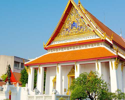 一贴快速Get！接种新冠疫苗后能否吃大蒜