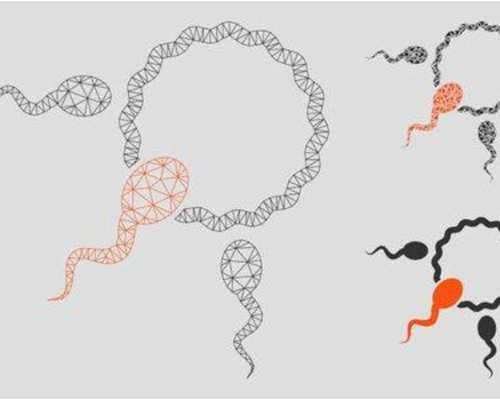 怎么防止胎盘钙化