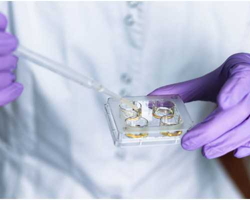 七注意让准成都助孕妈妈杜绝感冒