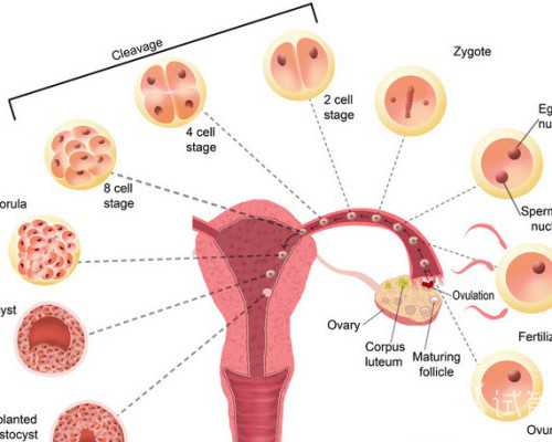 适合准成都助孕妈妈的6种运动