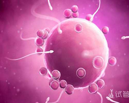 成都哪可以代生,(成都代生助孕)成都代怀生子机构有哪些？附费用详情？