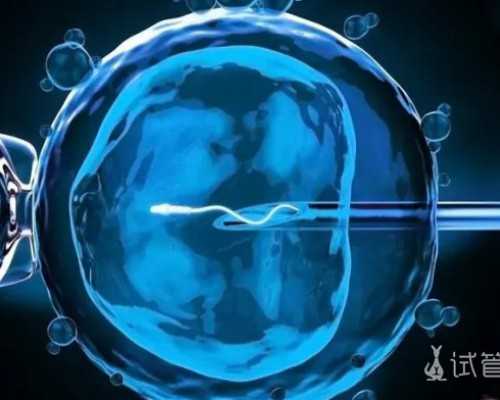 血型随成都助孕妈妈说明什么