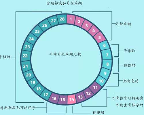 试管婴儿可以女方先取卵冷冻男方后取精吗？