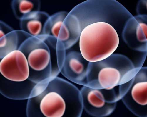 成都找女人代生,(成都代生助孕)成都代怀生子机构有哪些？附费用详情？