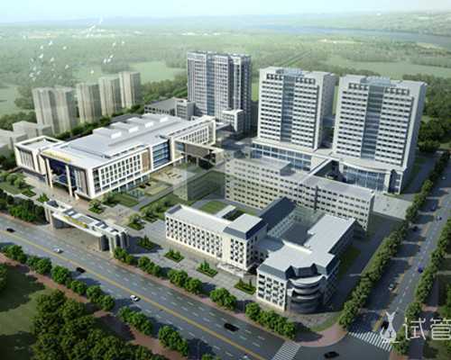 大连哪个医院做试管婴儿成功率高？