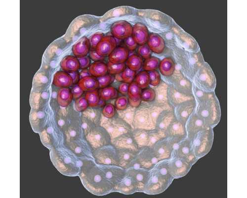 大连代怀包男孩套餐,大连妇幼保健院可以做试管吗？有哪些优势条件？