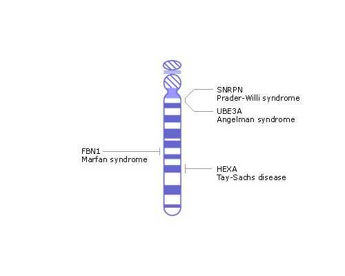 成都代生机构电话,(成都代生助孕)成都代怀生子机构有哪些？附费用详情？